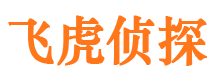 长春市侦探调查公司